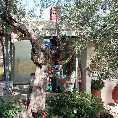 Lejlighed Effie's Maisonette And Detached Amaliapoli